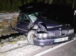 BMW palindo po miškovežiu