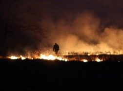 Prasidėjo nenušienautų pievų žolės deginimas