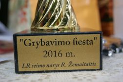 „Grybų fiesta 2016” Švėkšnoje